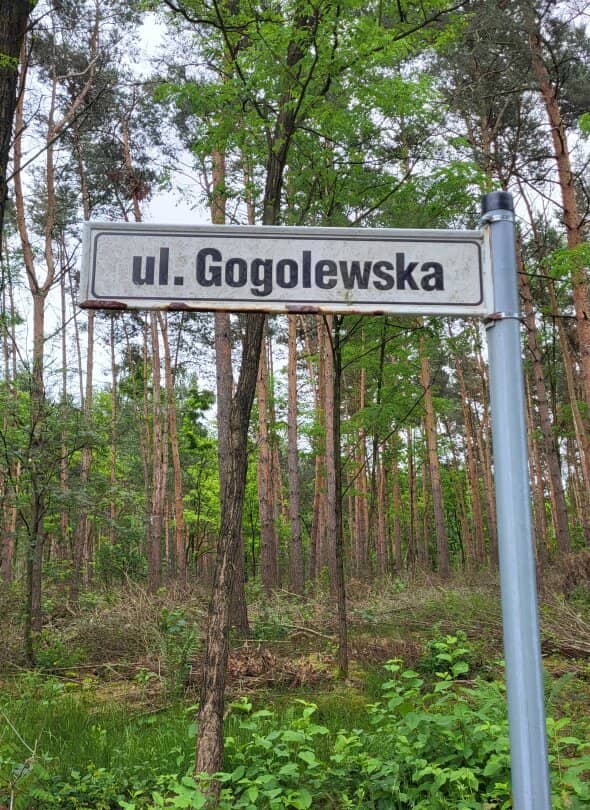 Zdjęcie