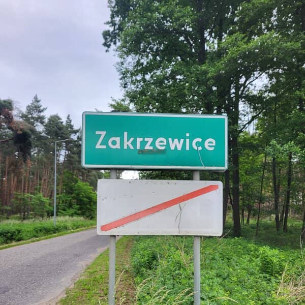 Zdjęcie