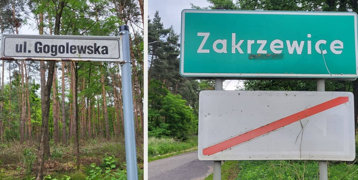 Zdjęcie