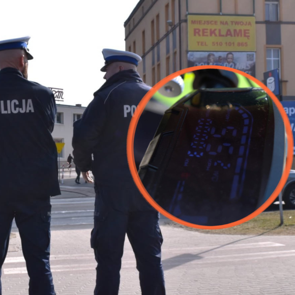 Zdjęcie