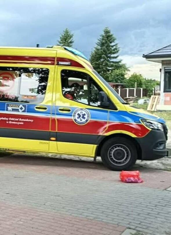 Zdjęcie