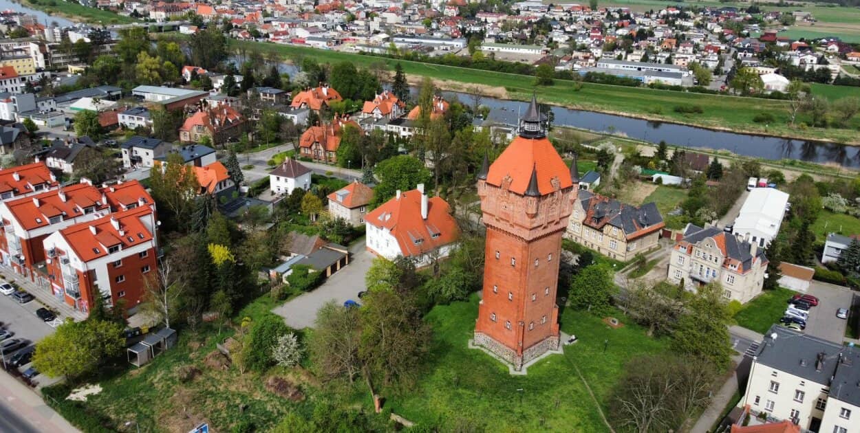 Zdjęcie