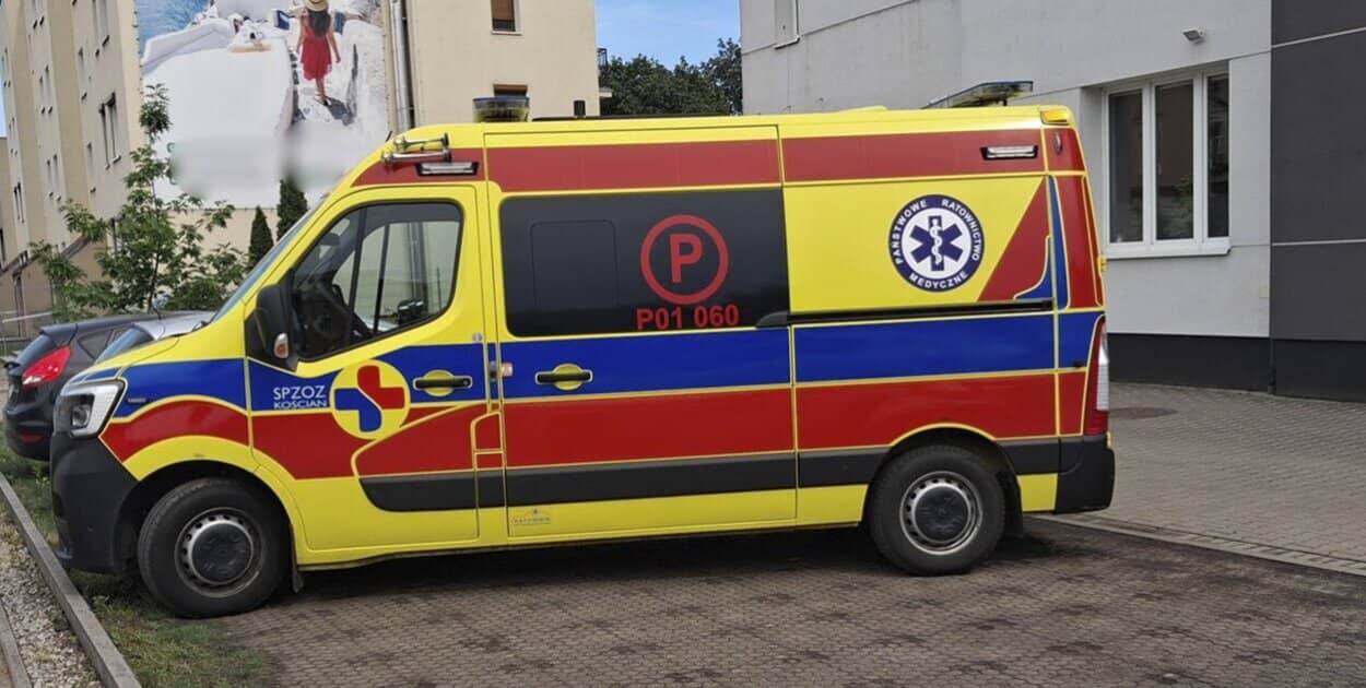 Zdjęcie