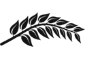 Krzyż