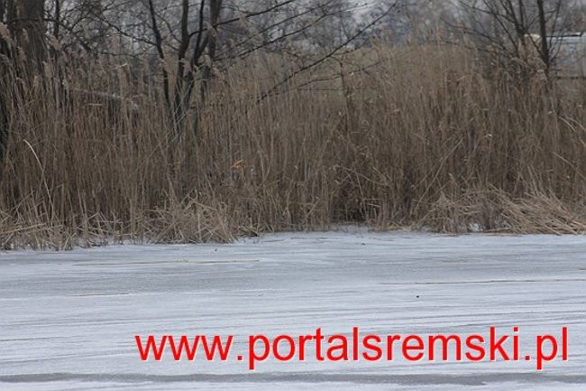 Ice Speedway  w Mórce