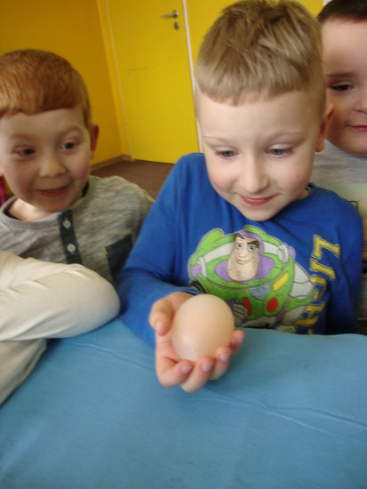 Jajko w roli głównej