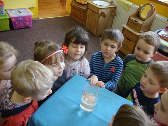 Jajko w roli głównej