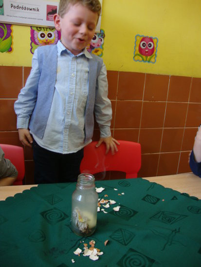 Jajko w roli głównej