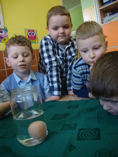 Jajko w roli głównej