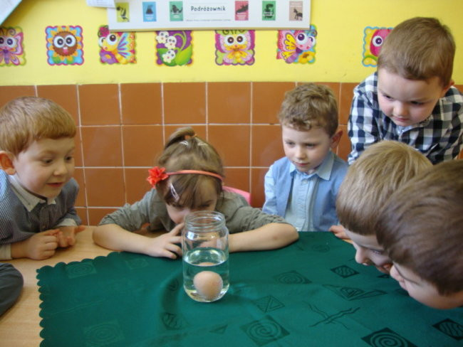 Jajko w roli głównej