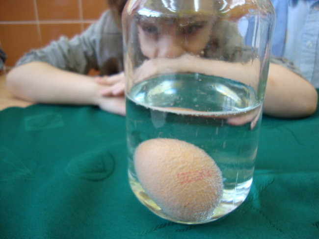 Jajko w roli głównej