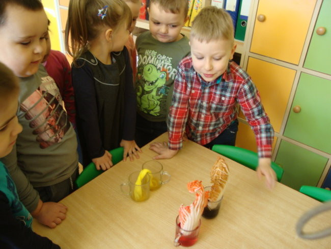 Jaki ten świat jest kolorowy