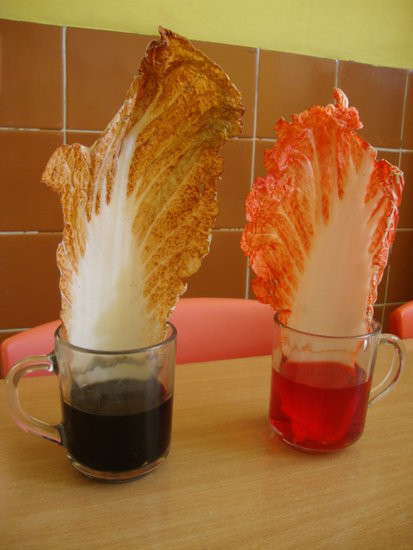 Jaki ten świat jest kolorowy