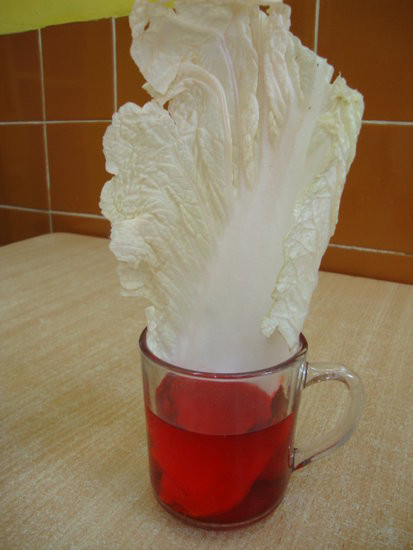 Jaki ten świat jest kolorowy