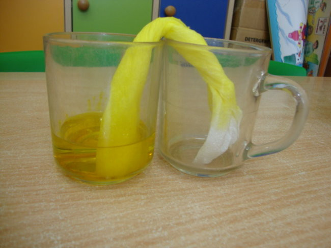 Jaki ten świat jest kolorowy