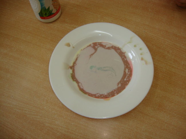 Jaki ten świat jest kolorowy