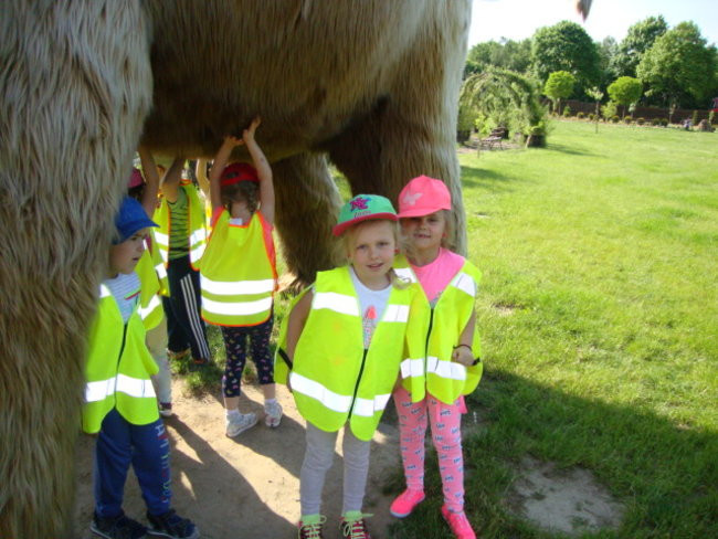 Wycieczka  do  Delipark