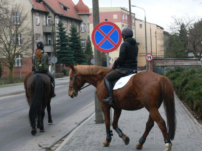 Imieniny Józefa Wybickiego