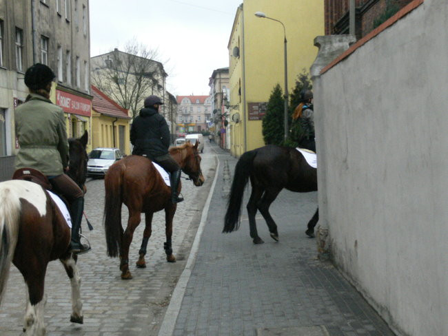 Imieniny Józefa Wybickiego