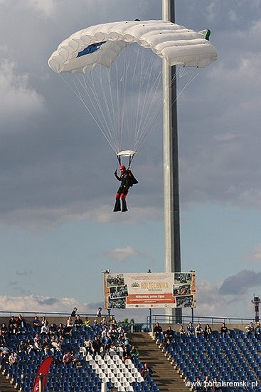 Byki lepsze od aniołów