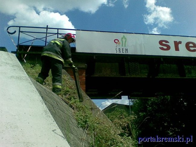 Niebezpieczna kładka