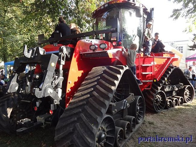 Dyniowy festyn w  Grzybnie