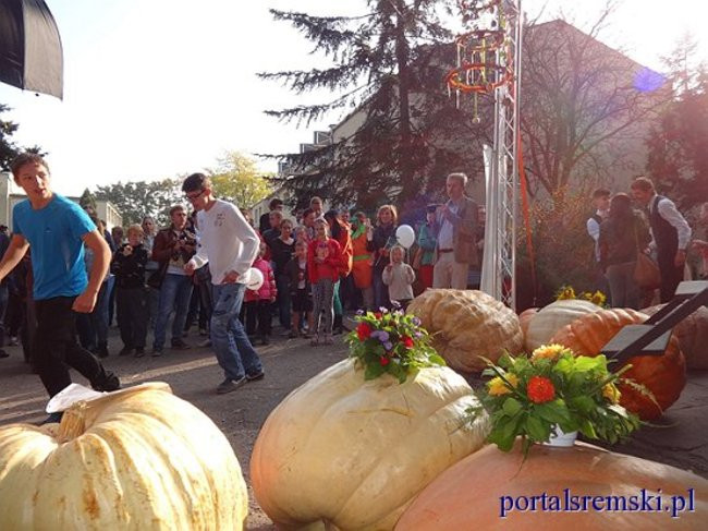 Dyniowy festyn w  Grzybnie