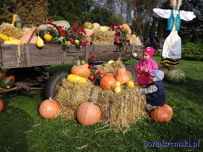 Dyniowy festyn w  Grzybnie