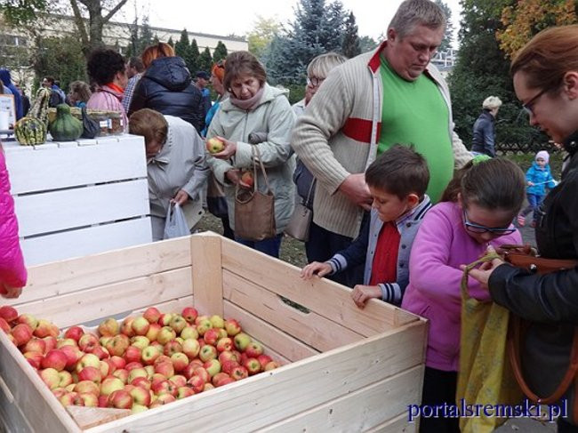 Dyniowy festyn w  Grzybnie