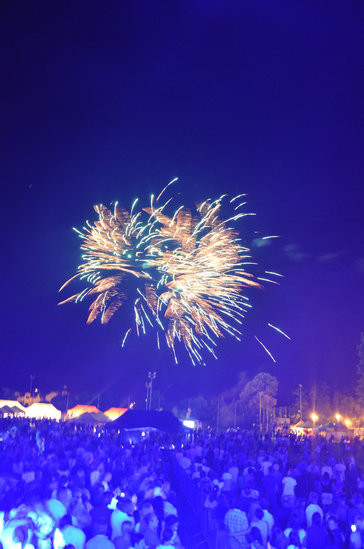 Dni Książa Wielkopolskiego