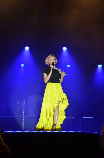 Dni Książa Wielkopolskiego