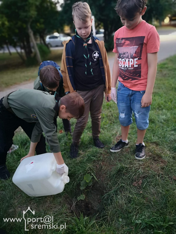 Harcerze - akcja ,,sadziMy