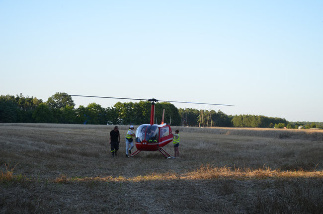 Dni Książa Wielkopolskiego