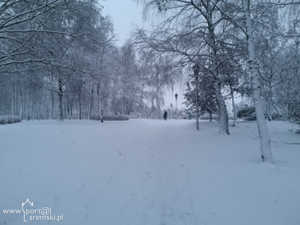 Zima w Śremie