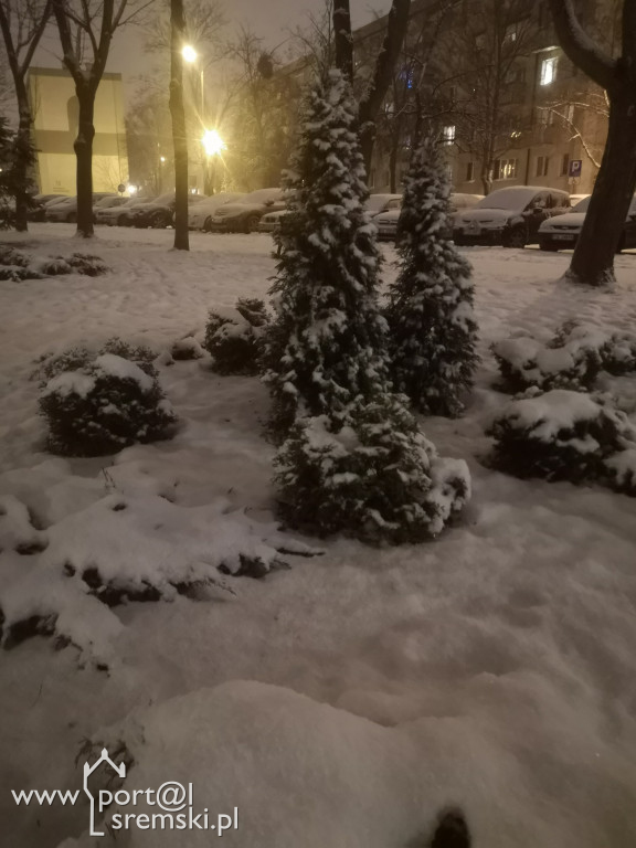Zima w Śremie