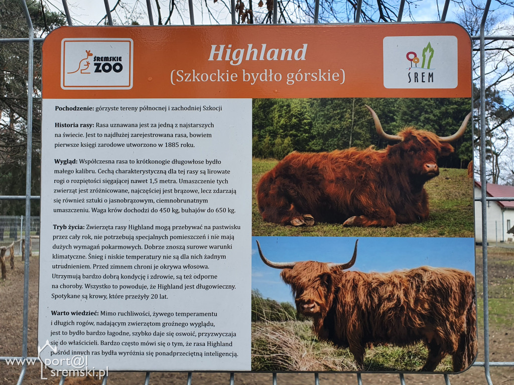 W ten wyjątkowy dzień wypada odwiedzić mieszkańców Śremskiego Zoo