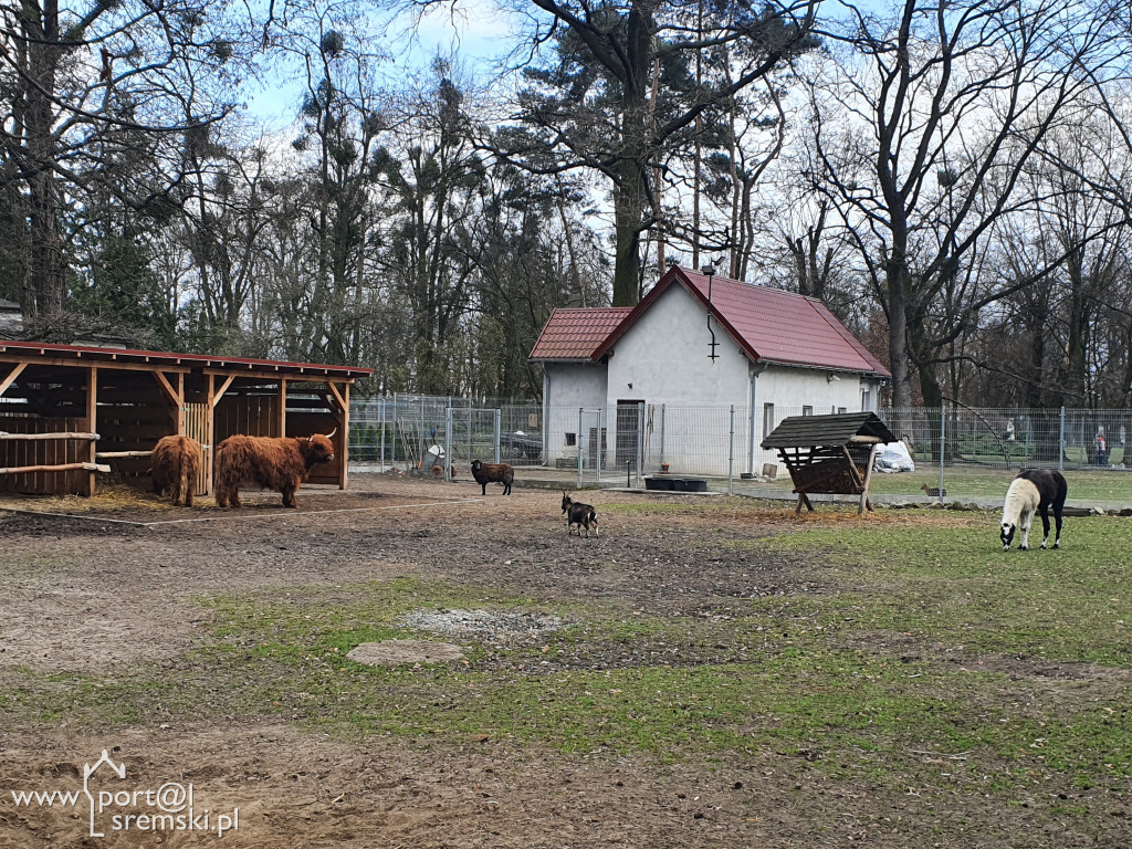 W ten wyjątkowy dzień wypada odwiedzić mieszkańców Śremskiego Zoo