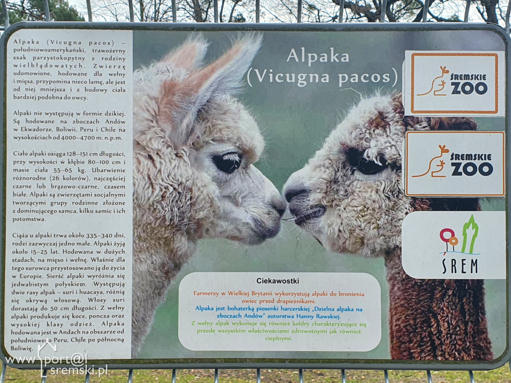 W ten wyjątkowy dzień wypada odwiedzić mieszkańców Śremskiego Zoo