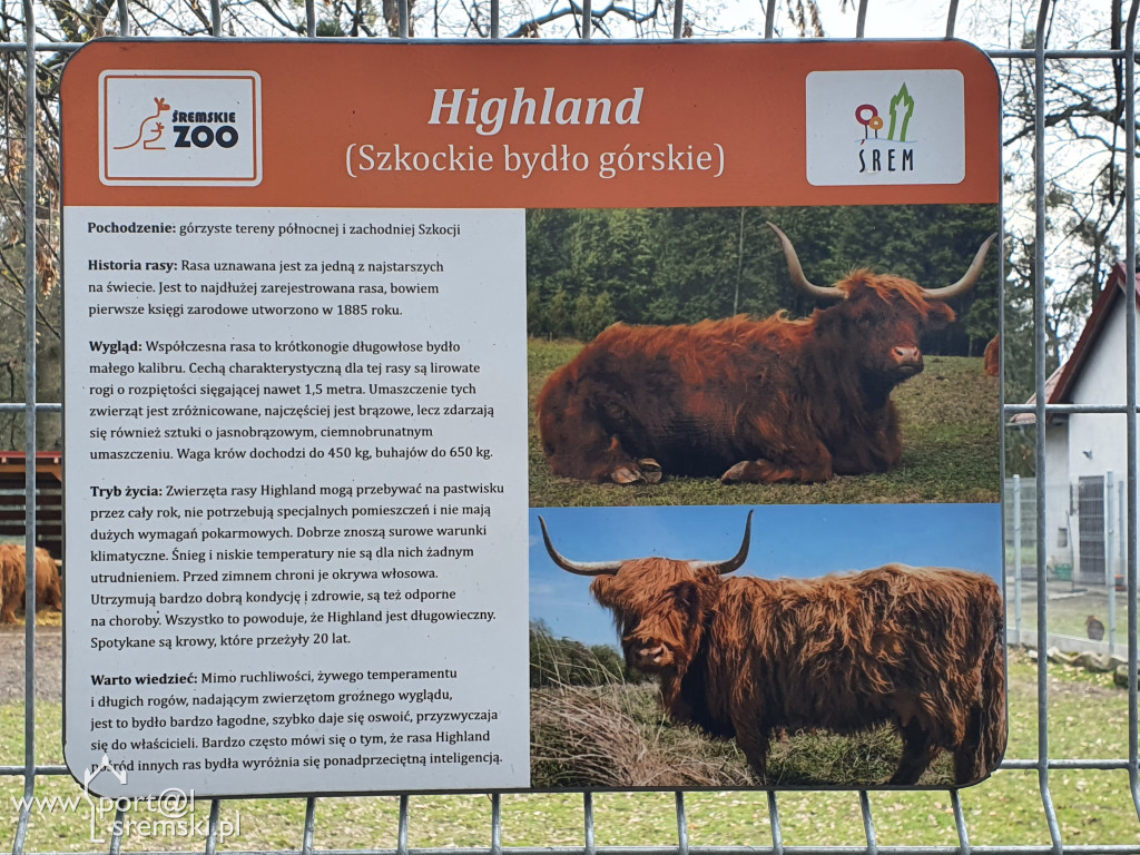 W ten wyjątkowy dzień wypada odwiedzić mieszkańców Śremskiego Zoo