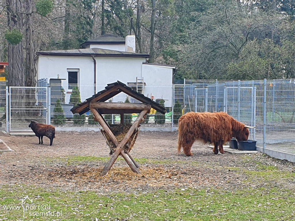 W ten wyjątkowy dzień wypada odwiedzić mieszkańców Śremskiego Zoo