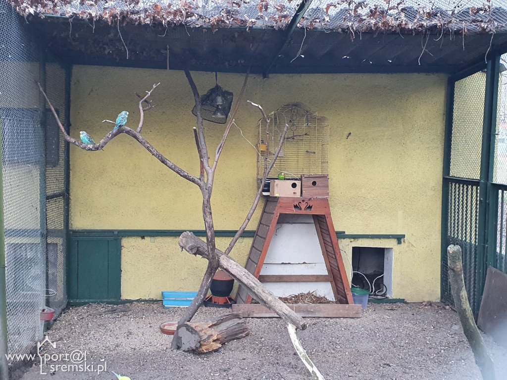 W ten wyjątkowy dzień wypada odwiedzić mieszkańców Śremskiego Zoo