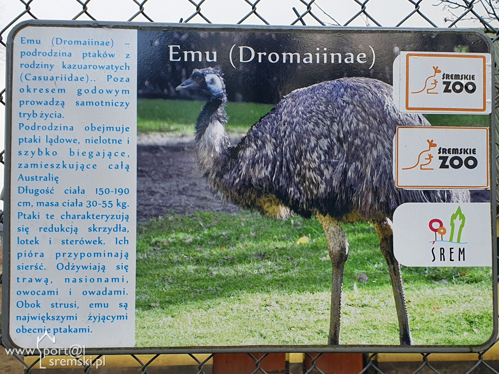 W ten wyjątkowy dzień wypada odwiedzić mieszkańców Śremskiego Zoo