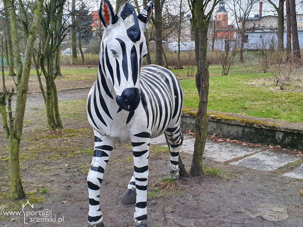 W ten wyjątkowy dzień wypada odwiedzić mieszkańców Śremskiego Zoo
