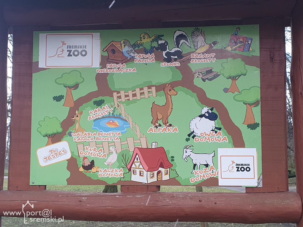 W ten wyjątkowy dzień wypada odwiedzić mieszkańców Śremskiego Zoo