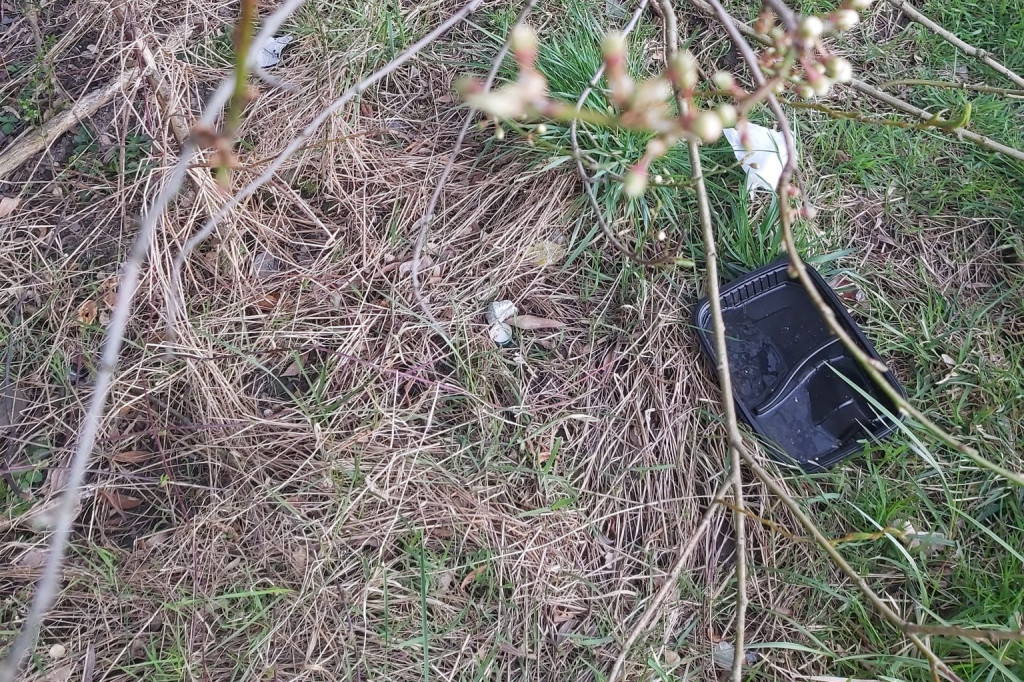 Zdewastowane kosze i wszechobecne śmieci gorszą widokiem w parku