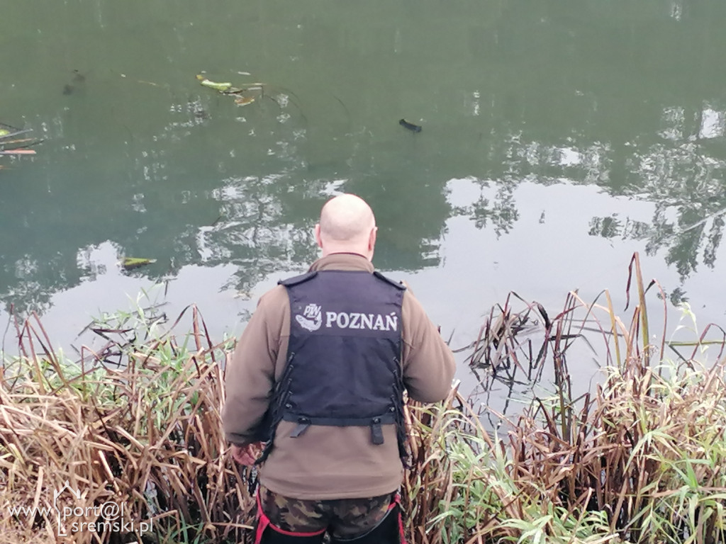 Społeczna Straż Rybacka kontroluje wody w powiecie śremskim i ujawnia kłusowników