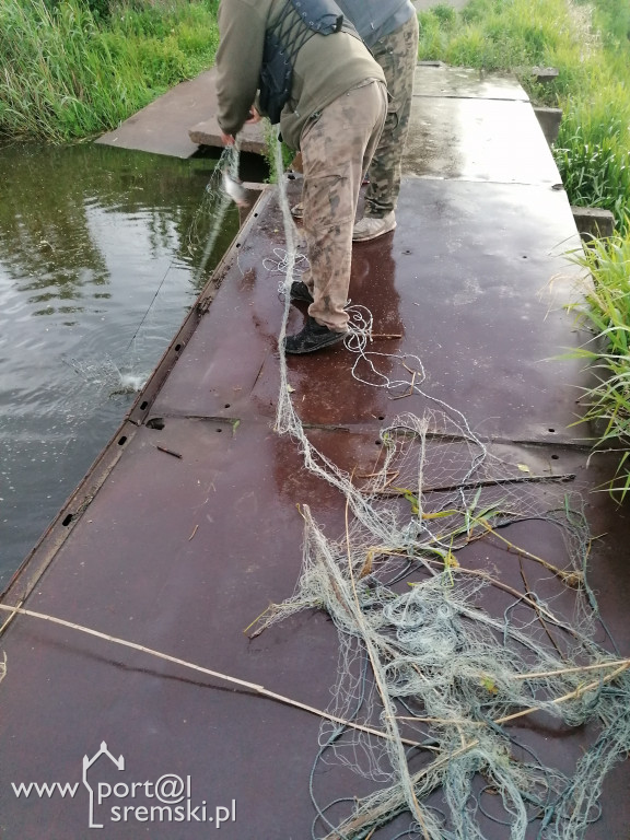 Społeczna Straż Rybacka kontroluje wody w powiecie śremskim i ujawnia kłusowników