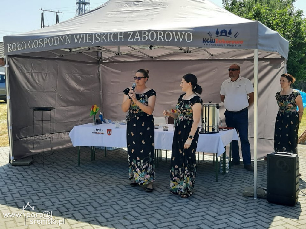 Otwarcie Questu Zaborowo