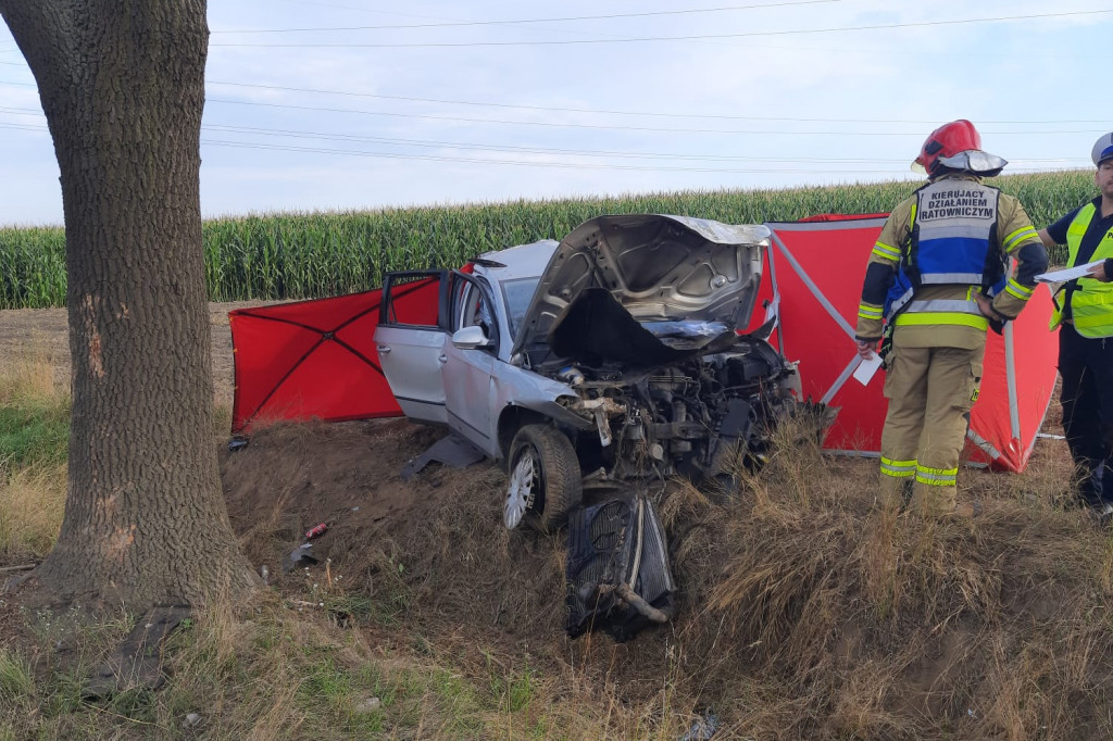 Tragedia na drodze