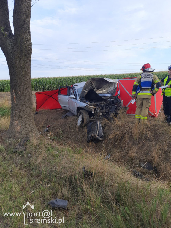 Tragedia na drodze